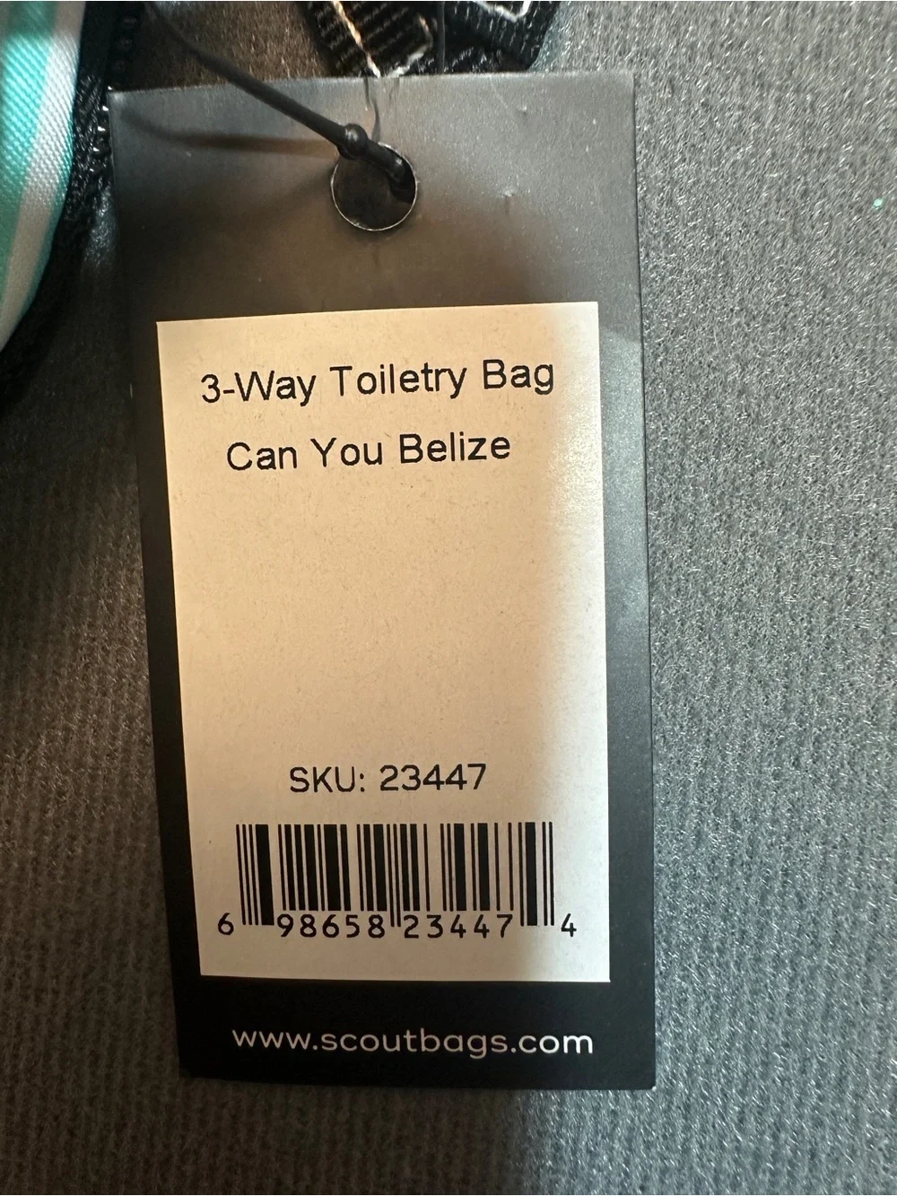 Scout new tags